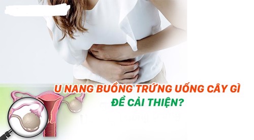 U nang buồng trứng uống cây gì để cải thiện? Xem ngay